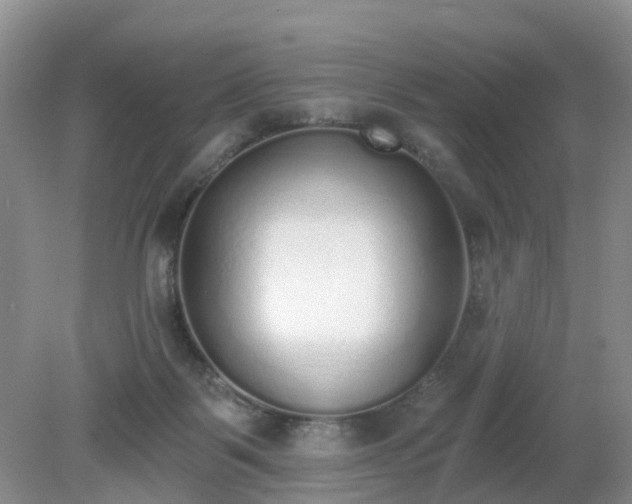 X0000079310123200611251749