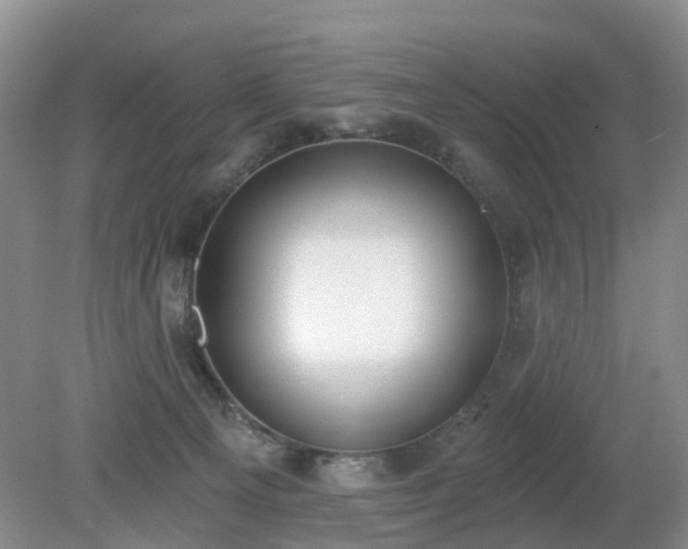 X0000079310129200611251749