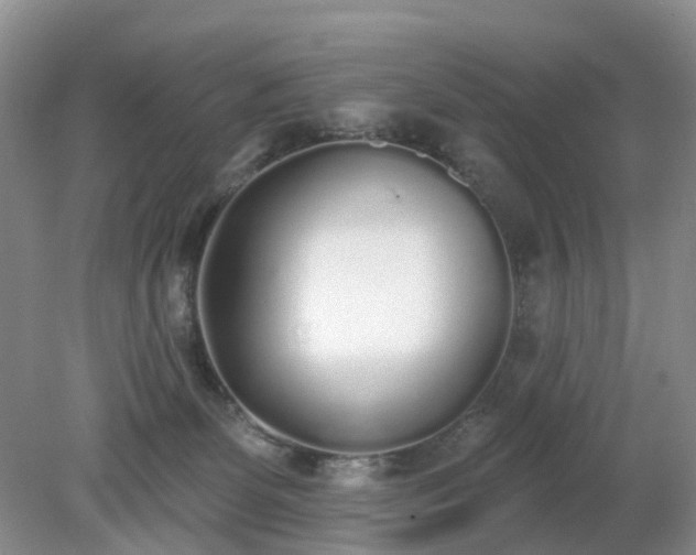 X0000079310131200611251748