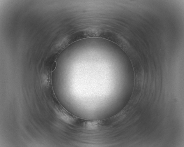 X0000079310134200611251748