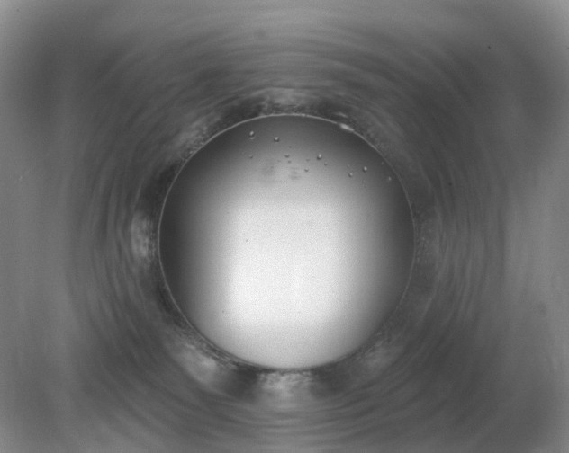 X0000079310135200611251748