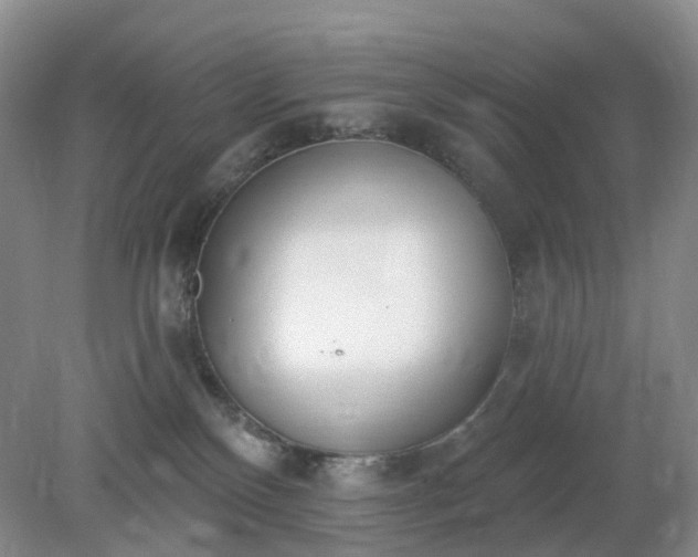 X0000079310136200611251748