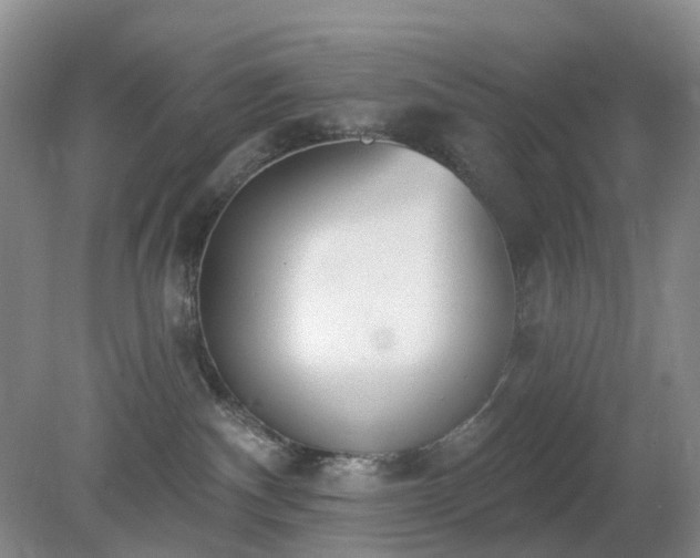 X0000079310140200611251748