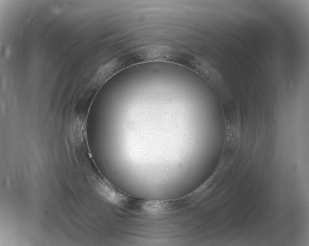 X0000079310142200611251748