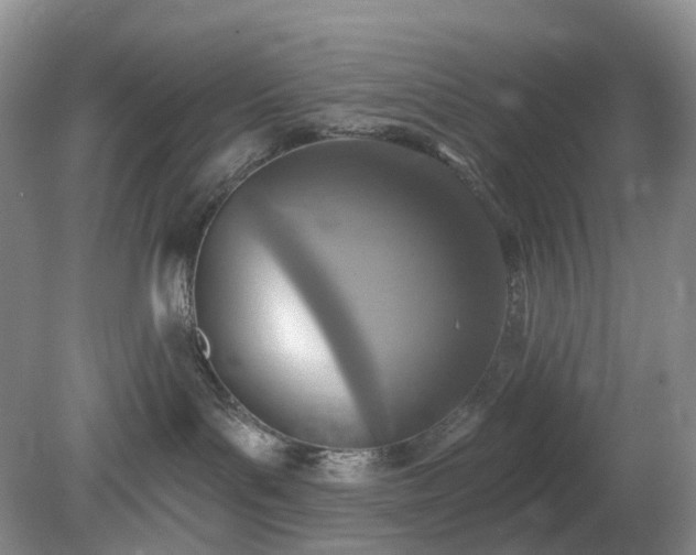X0000079310143200611251748