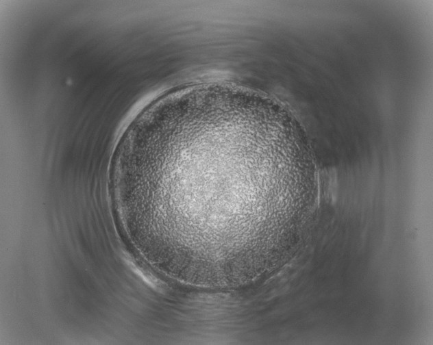 X0000079310147200611251747