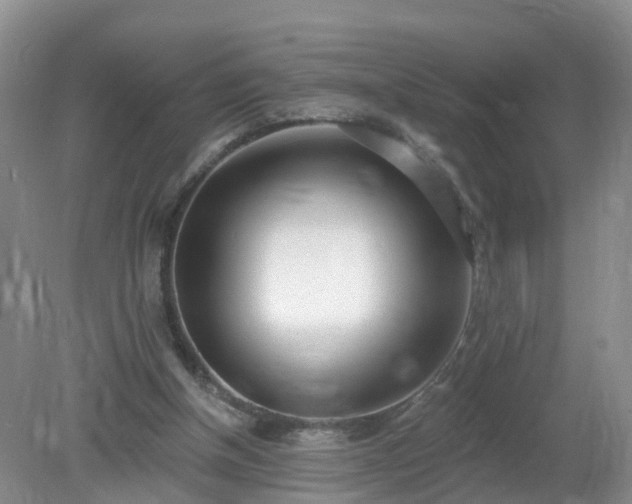 X0000079310154200611251748