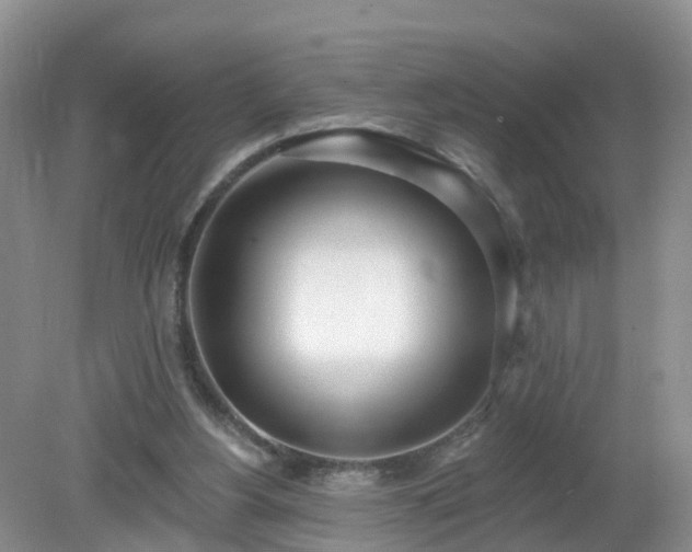 X0000079310156200611251748