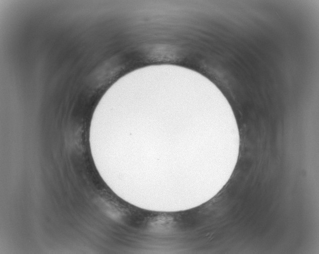 X0000079310162200611251748