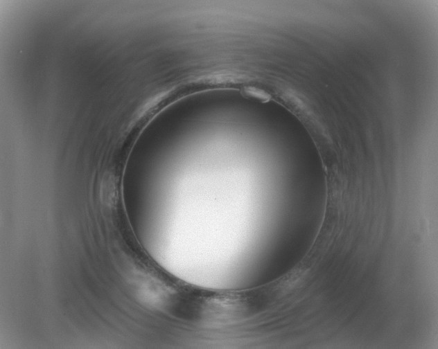X0000079310164200611251748
