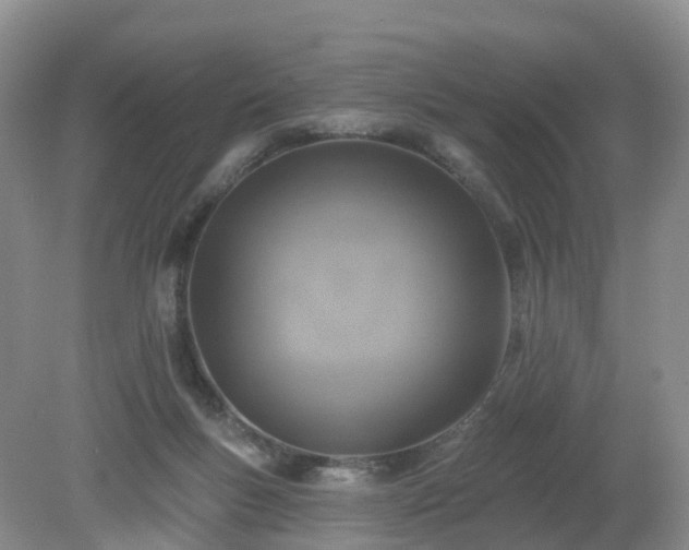 X0000079310167200611251748