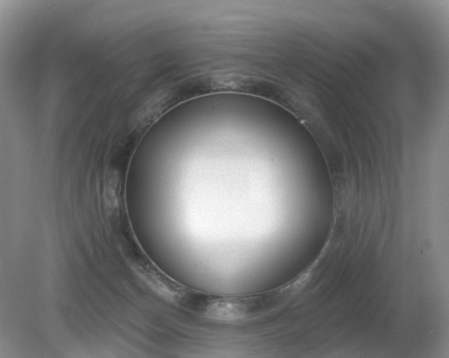 X0000079310174200611251748
