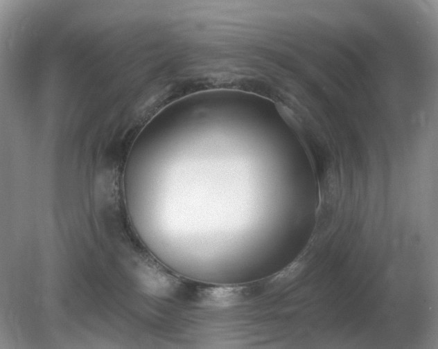 X0000079310184200611251748