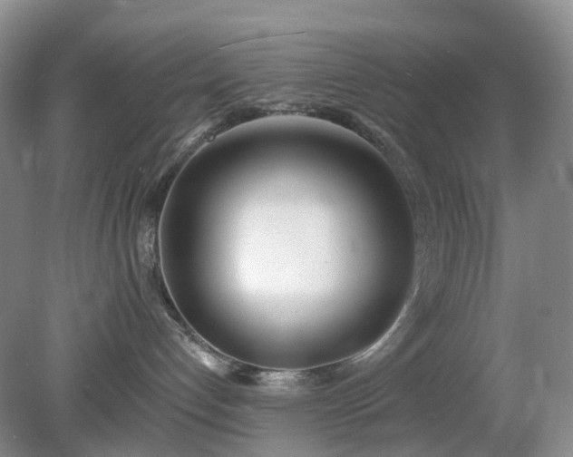 X0000079310192200611251748