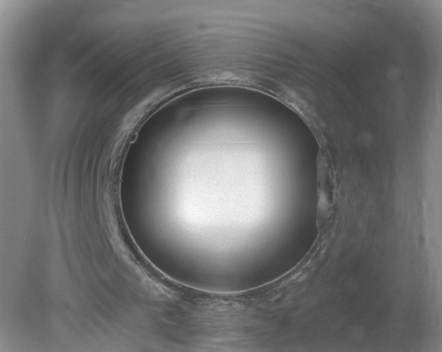 X0000079310193200611251747