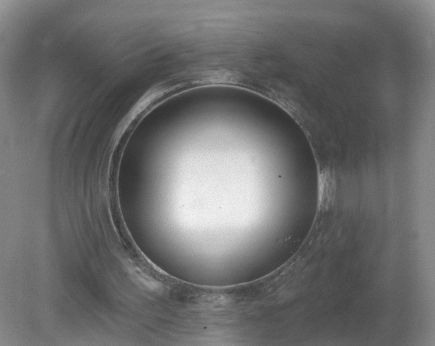 X0000079310195200611251747