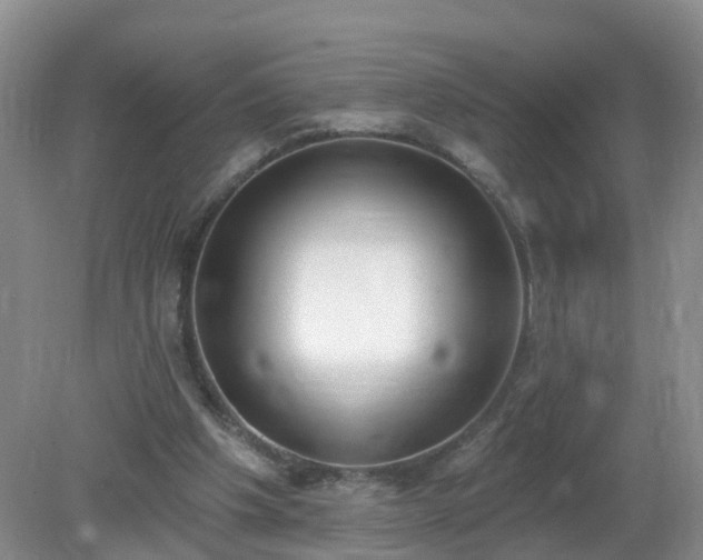 X0000079310201200611251747