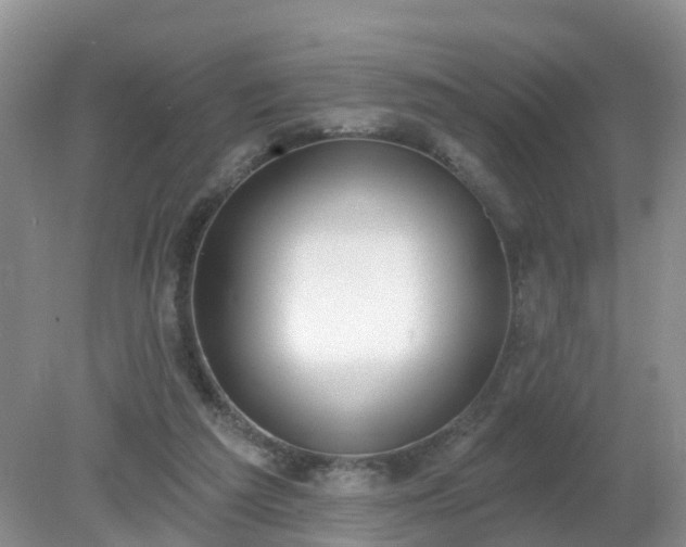 X0000079310209200611251747