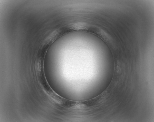 X0000079310210200611251747