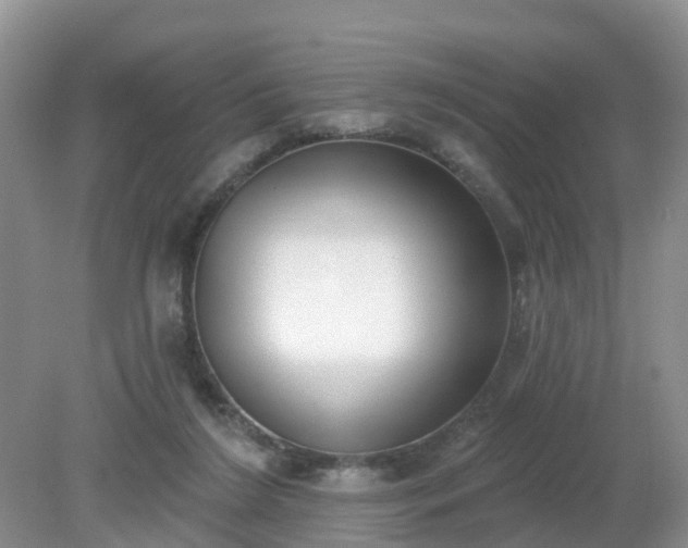 X0000079310212200611251747