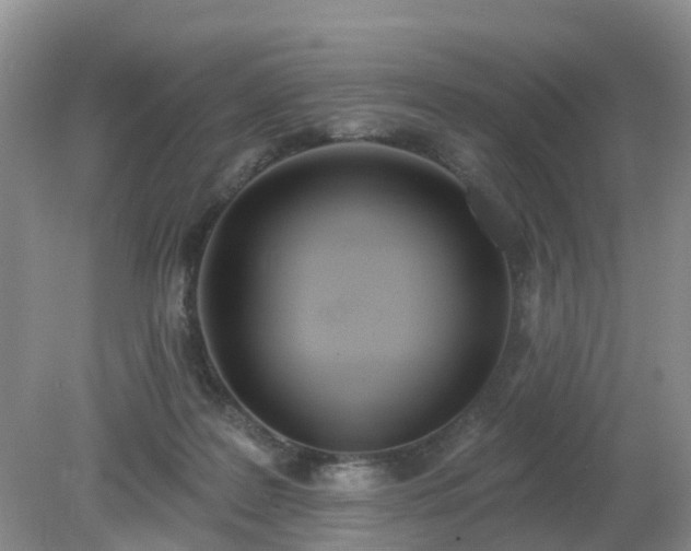 X0000079310219200611251747