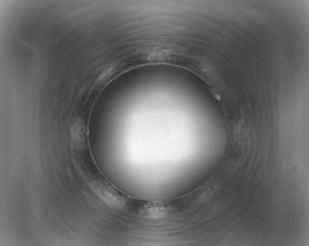 X0000079310228200611251747