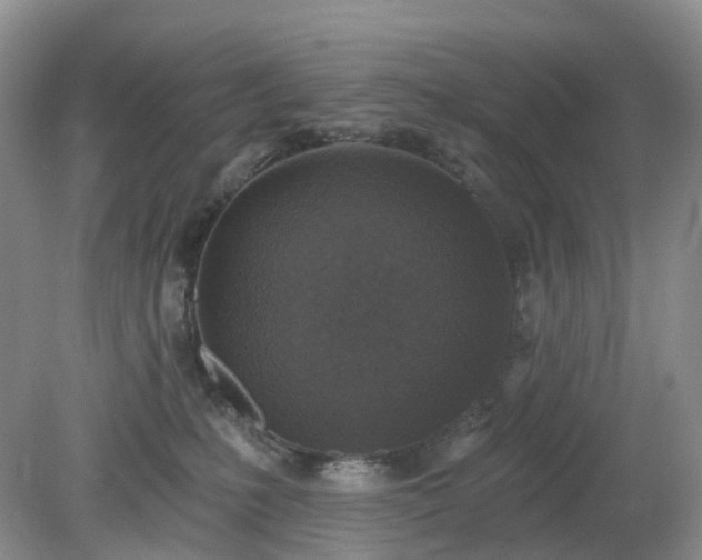 X0000079310231200611251747