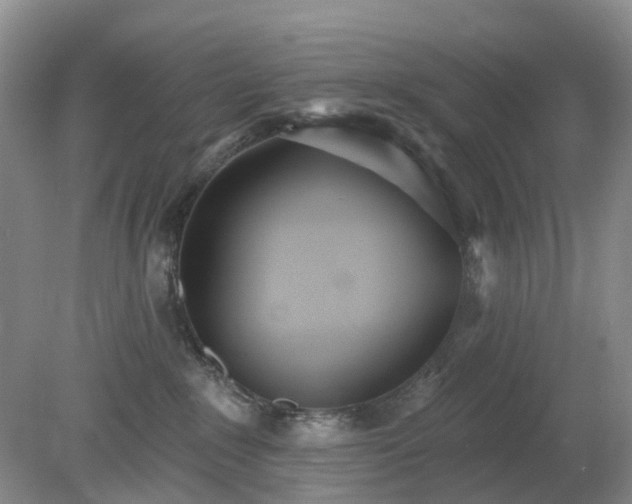 X0000079310235200611251747