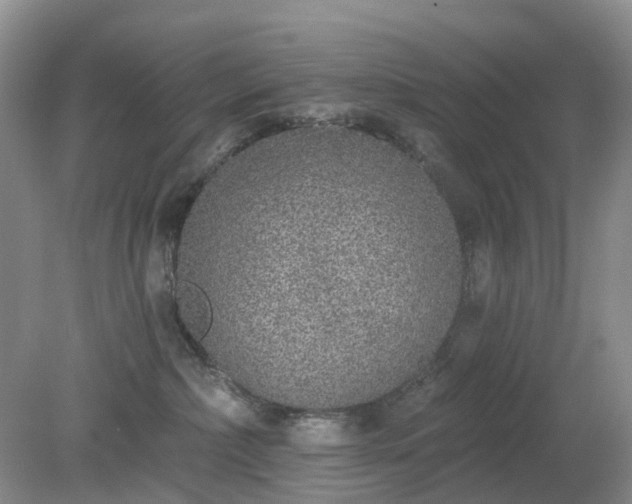 X0000079310236200611251747