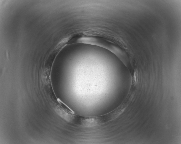 X0000079310237200611251747