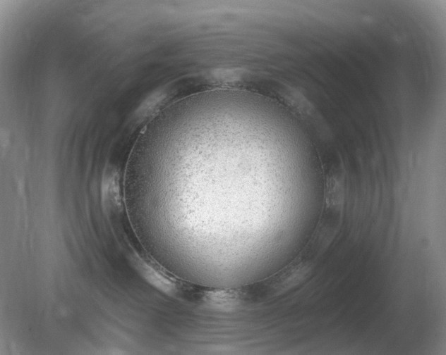 X0000079310238200611251747