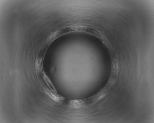 X0000079310239200611251747