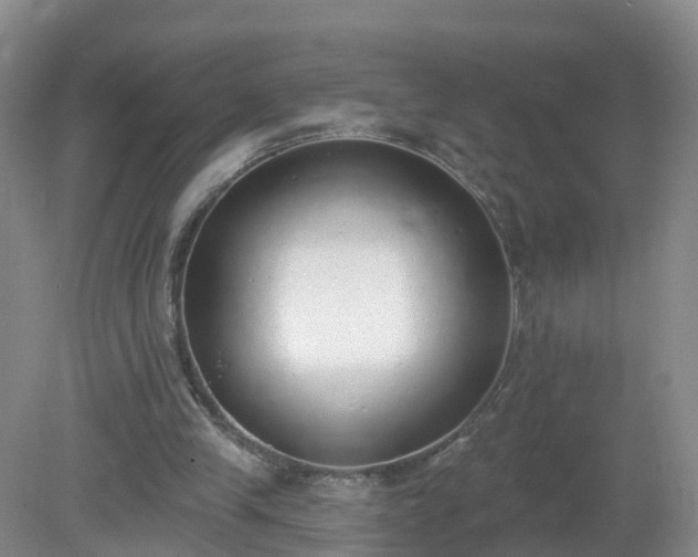 X0000079310245200611251746