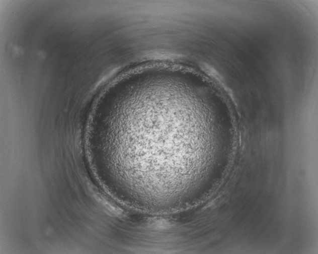 X0000079310249200611251746