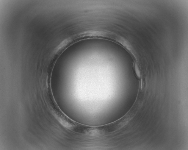 X0000079310253200611251746