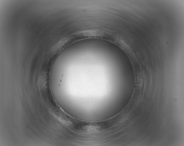 X0000079310255200611251746