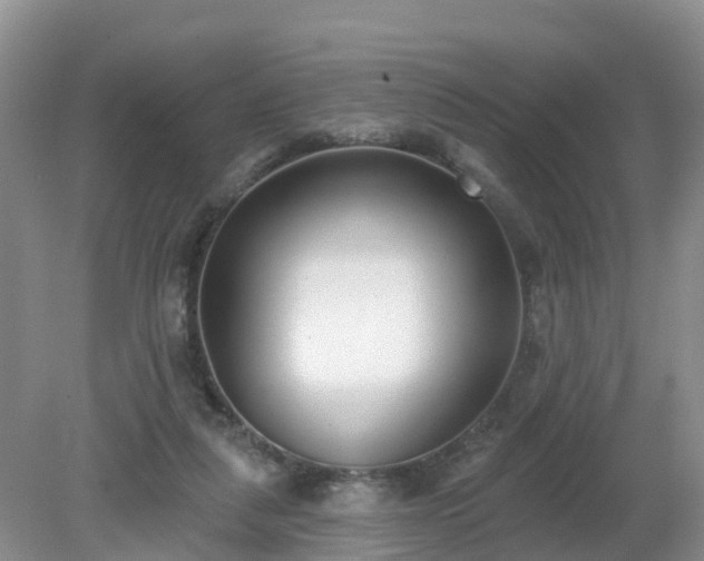 X0000079310259200611251746