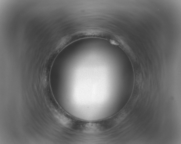 X0000079310261200611251746