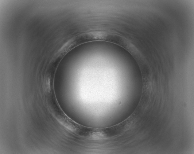 X0000079310262200611251746