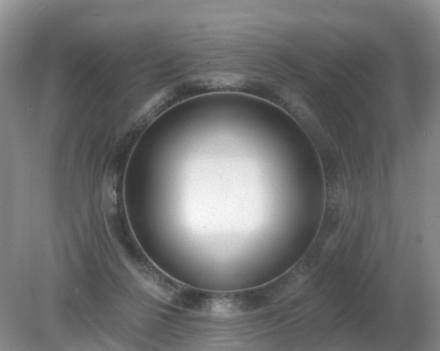 X0000079310264200611251746