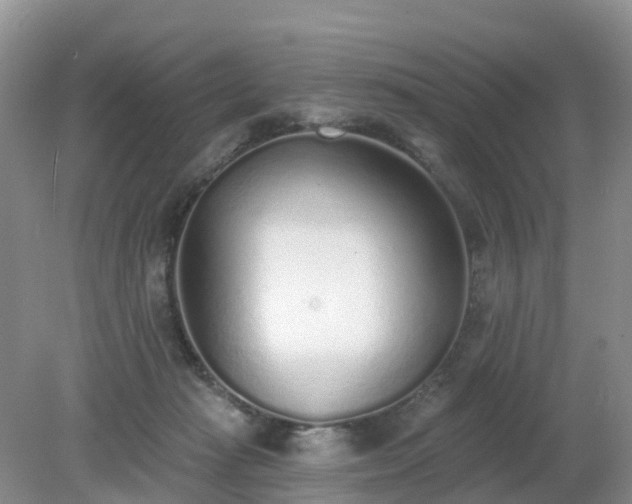 X0000079310269200611251746