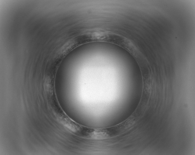 X0000079310270200611251746