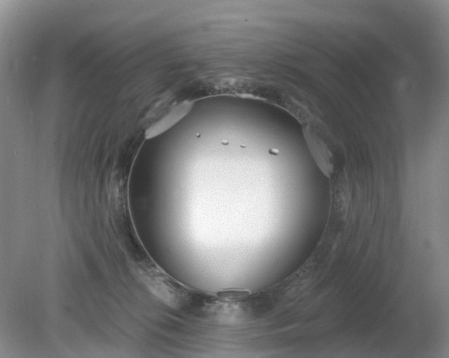 X0000079310276200611251746