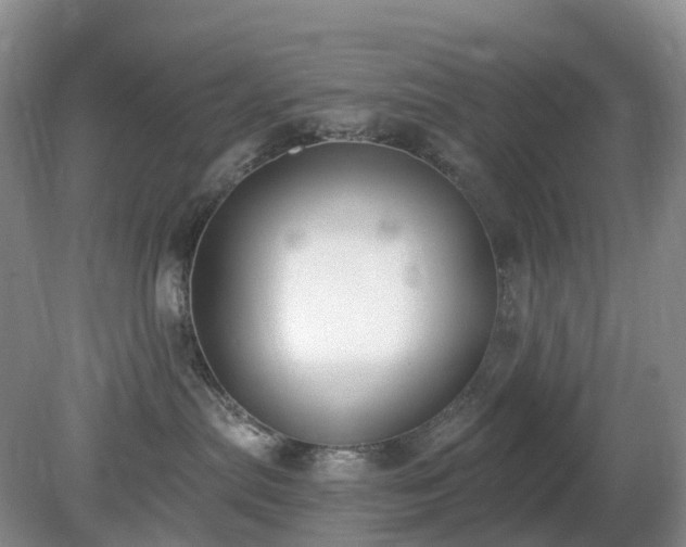 X0000079310287200611251747