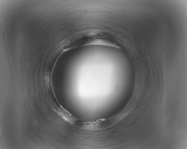 X0000079310288200611251747