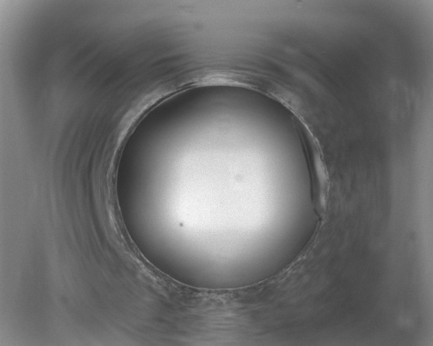 X0000079310289200611251746