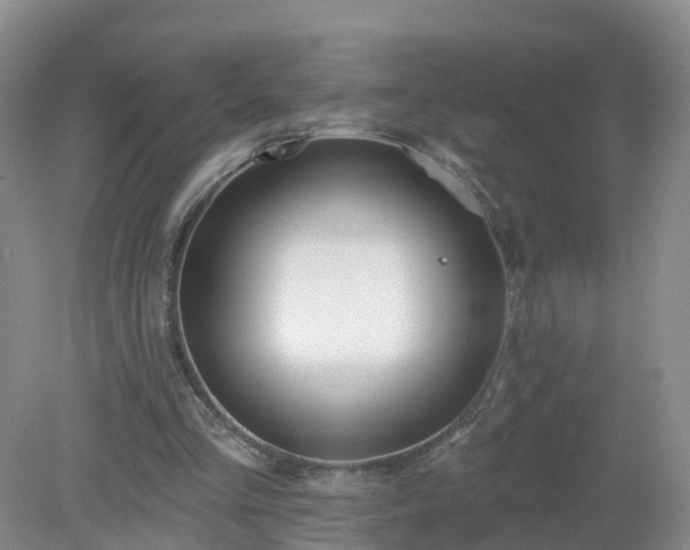 X0000079310293200611251746