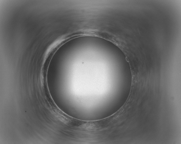 X0000079310294200611251746