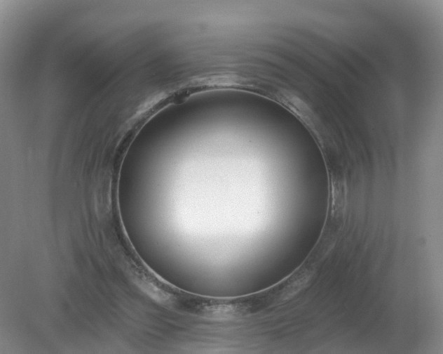 X0000079310301200611251746