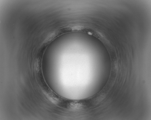 X0000079310311200611251745